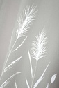 Rideau pampa naturel 140x260
