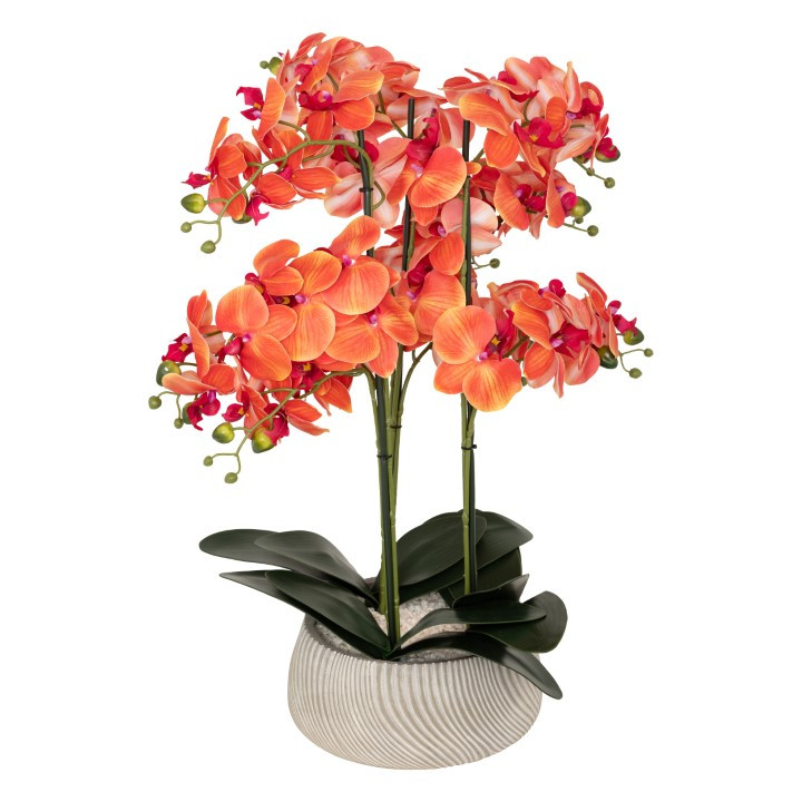 Orchidée pot ciment sanae orange h60