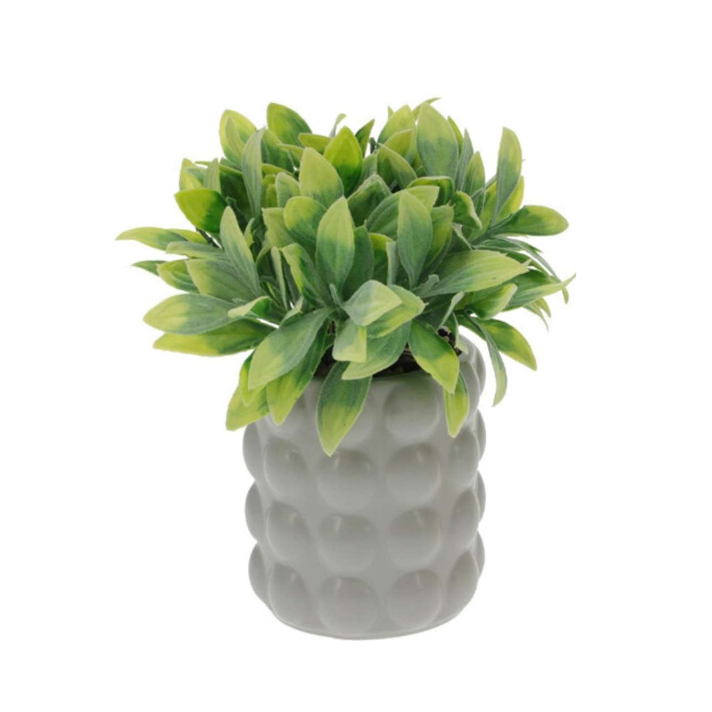 Plante en pot céramique gris 18cm