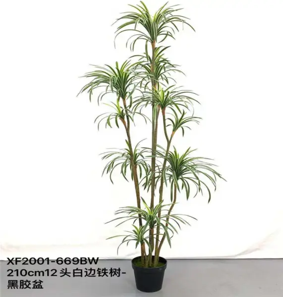 Plante 210 cm - 669W