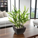 Bambou pot céramique Yori noir h26