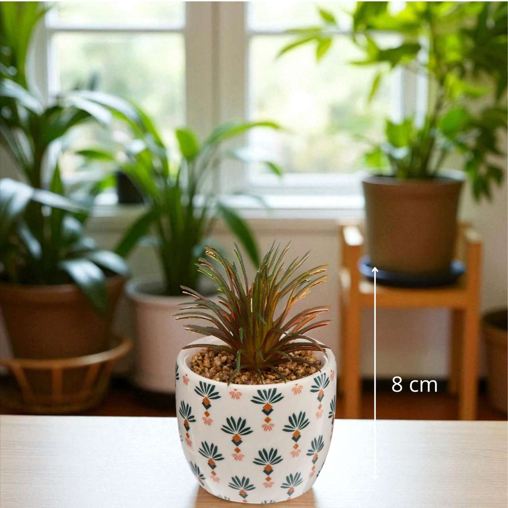 Plante AKO H9 cm - blanc