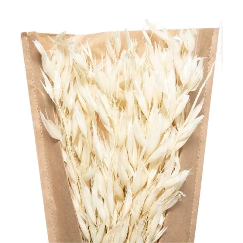 Bouquet seche nat display h45 ble