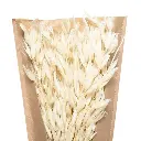 Bouquet seche nat display h45 ble