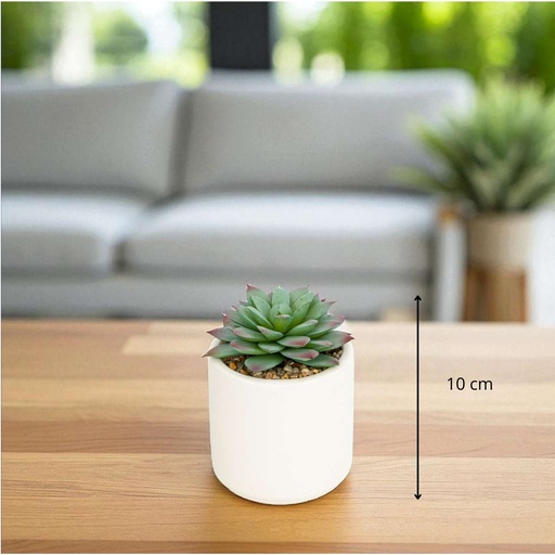 Plante g nils blanc h12