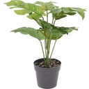 Plant artificielle en pot marr