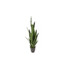 Plante en pot 92cm