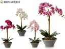 Orchidee pot de fleurs conique gris gr 5