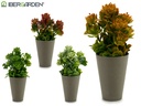 Pot de fleurs conique gris plante assort