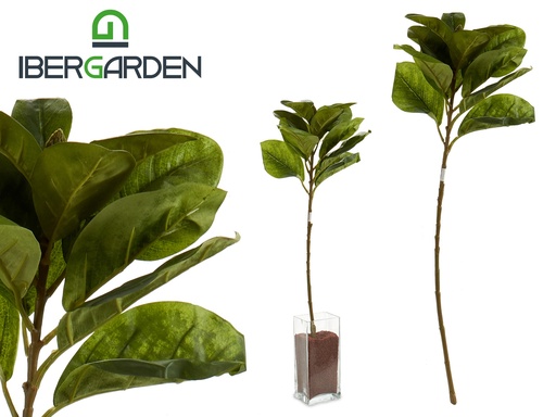 Branche feuilles verts pointe