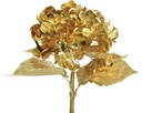 Hortensia sur tige poly. or