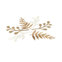 6 feuilles kraft ivoire et bronze 3 0cmx14/15.5/19.5cm