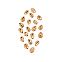 20 coquillages or env 2x1.5cm