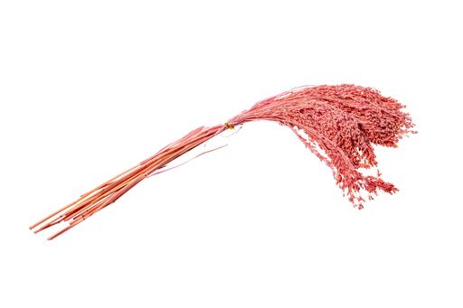 Fontaine d'herbes sechees roses env 75gr 60cm