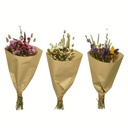 Bouquet fleur sechee  3 ASS
