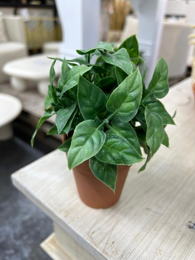 Plante plastique feuilles monstera