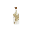 Bouteille verre fleurs séchées jaune 