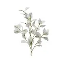 Eucalyptus polyester blanche