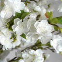 Fleur polyester-blanc