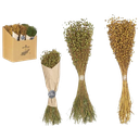 Bouquet boules fleur sechee jaune