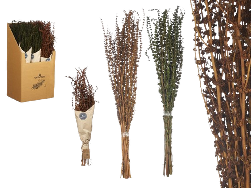 Bouquet branche longue  couleurs -vert