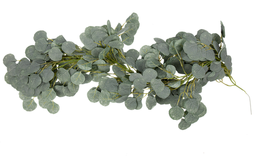 Descente d'eucalyptus - vert blanch i - 1,05 m