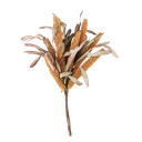 Bouquet d'epis de millet safran et feuilles 50cm