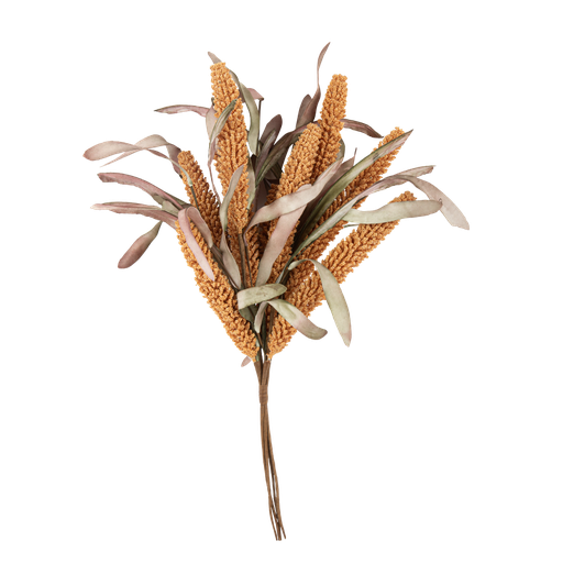 Bouquet d'epis de millet safran et feuilles 50cm