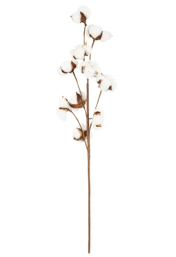 Branche de fleurs de coton 67cm