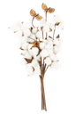 Bouquet de fleurs de coton 40cm