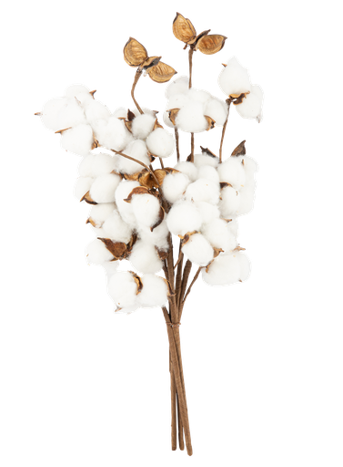 Bouquet de fleurs de coton 40cm