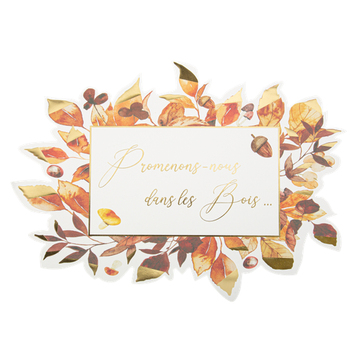 8 sets de table promenons-nous dans les bois dégradé de camel et or 38