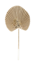 Branche feuille de palme paillettes champagne 54cm