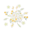 100 confettis mimosa, citrons et feuillages