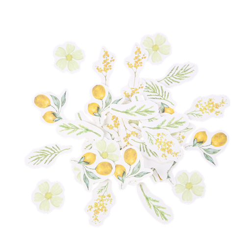 100 confettis mimosa, citrons et feuillages