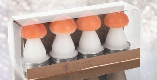 Lot de 4 bougies champignon orange