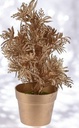 Plante en pot dorée 22 cm - modèle 4