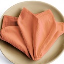 Serviette 40x40 x3 terra gaze de coton celestia