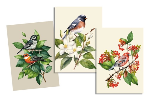 Lydia torchon 50x70 multicolore