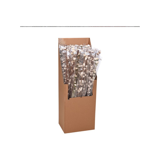 Tree branche softwood flowers-beige 3 petale 