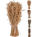 Branche de roseau attachée corde