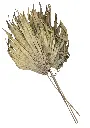 Feuilles palmes séchées naturel x 4