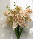 Bouquet alstromeria beige 
