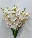 Bouquet alstromeria blanc