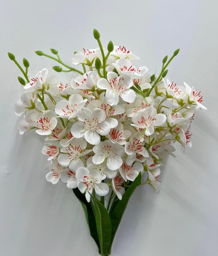 Bouquet alstromeria blanc