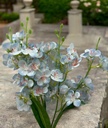 Bouquet alstromeria bleu