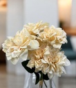 Bouquet dhalia beige