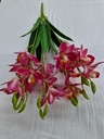 Bouquet d'orchidee fushia