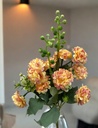 Bouquet d'horesias orange/rose