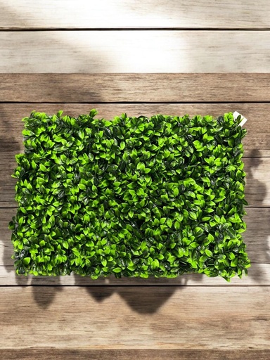 Plaque verdure 40x60 cm